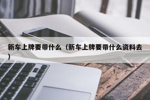 新车上牌要带什么（新车上牌要带什么资料去）