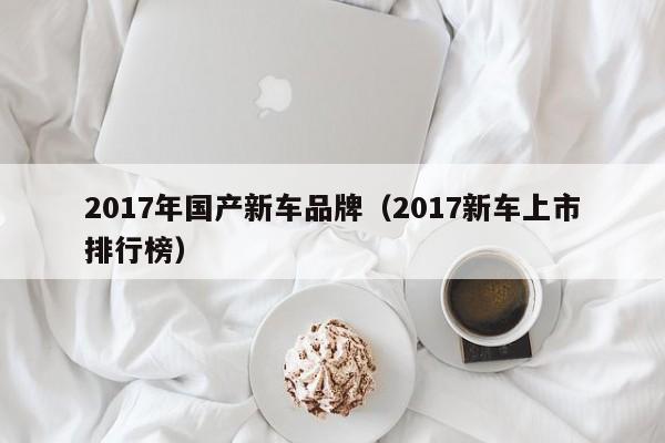 2017年国产新车品牌（2017新车上市排行榜）