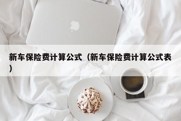 新车保险费计算公式（新车保险费计算公式表）