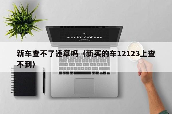 新车查不了违章吗（新买的车12123上查不到）