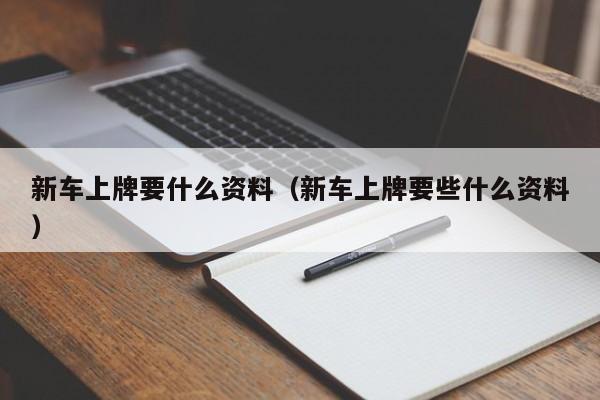 新车上牌要什么资料（新车上牌要些什么资料）